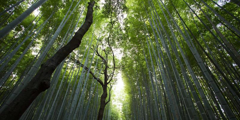 电影如何塑造我们的生活方式?从乐谷123看现代娱乐新趋势